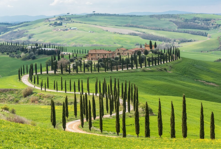 Explore the rolling hills and vineyards of the Italian countryside for a truly enchanting experience.