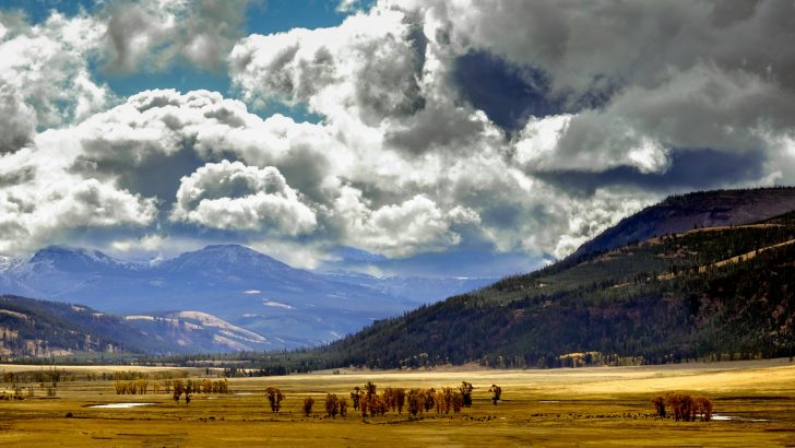 When is the best time to visit Yellowstone National Park?