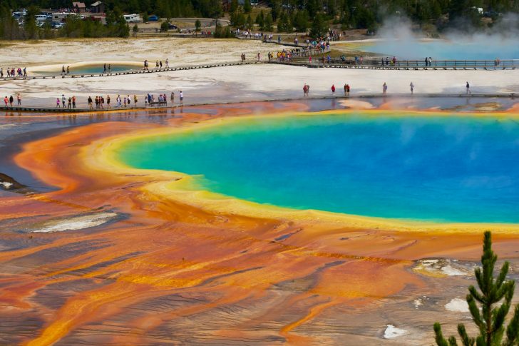 When is the best time to visit Yellowstone National Park?